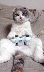Playing from your couch?